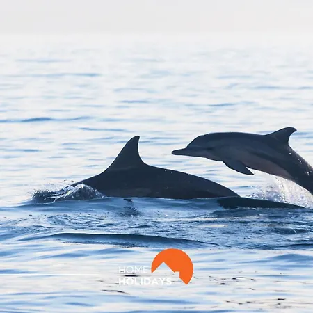 #126 T1 Vale Mangude 213 By Holidays Lejlighed